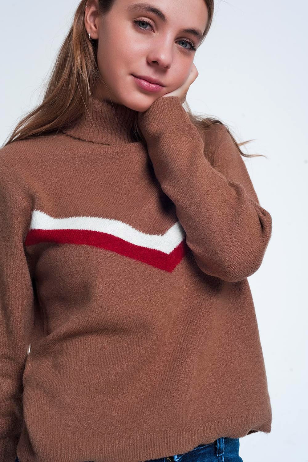 Sweater With Chevron Detail in Brown